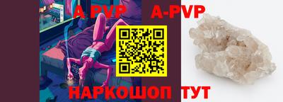 дурь Кингисепп