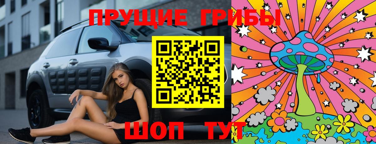 Галлюциногенные грибы Psilocybe Иваново