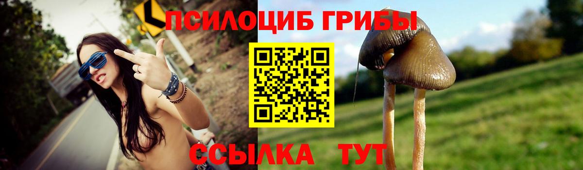 Псилоцибиновые грибы GOLDEN TEACHER  купить  цена  Иваново  Вход с VPN 
